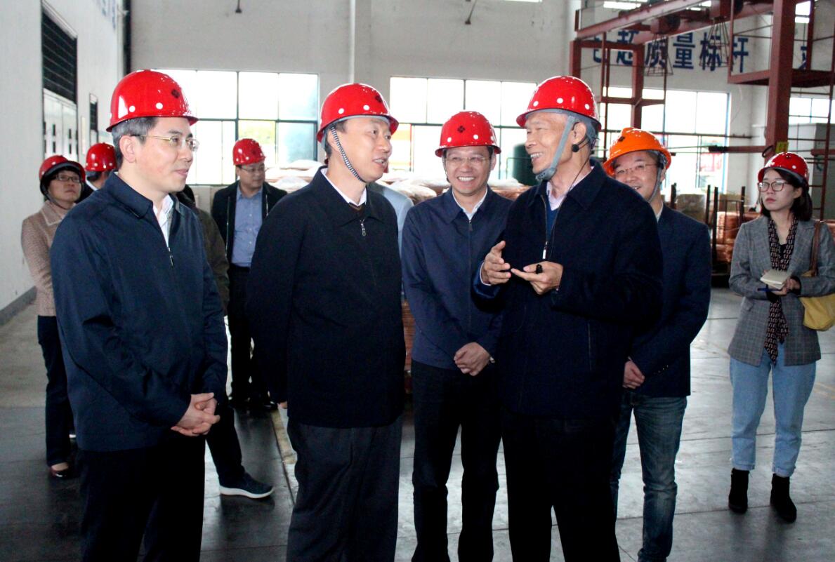 江蘇省副省長(zhǎng)馬秋林一行來(lái)上上電纜調(diào)研